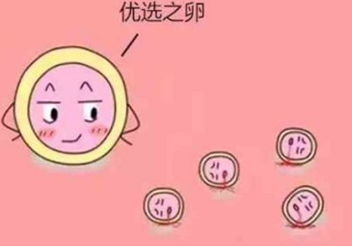 上海试管助孕公司：孕期定当要远离各种疾病，避免对胎儿产生影响