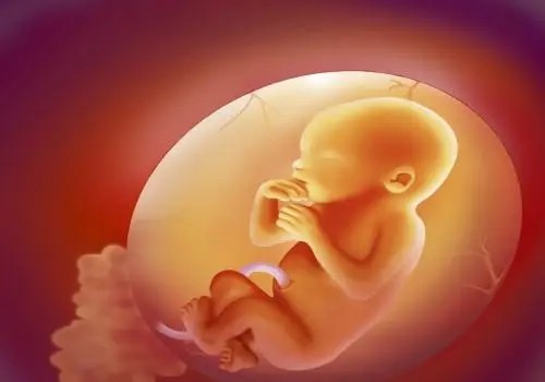泰国试管婴儿成功率、流程等和国内的试管有什么区别呢？