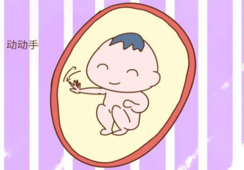 未婚还想做试管婴儿-并还不是你能决定的