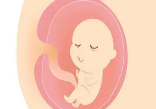 宫外孕怎么处理对身体的伤害最小？这些办法可以先收藏备用